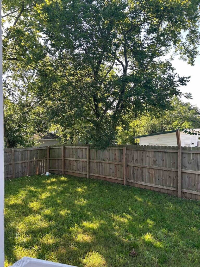 1db5aaf3 735d 469a 9b24 5ec2dd83bc84.jpg